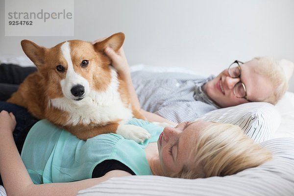 Süßer Corgi-Hund auf dem Bett liegend mit jungem Paar
