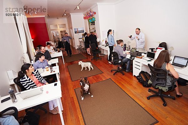 Menschen bei der Arbeit in einem modernen Büro mit Hunden