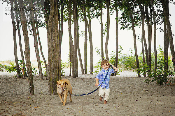 Laubwald gehen Strand Junge - Person Hund