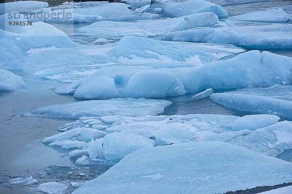 Wasser fließen Gletscher Arktis