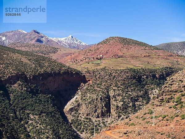 Marokko  Marrakesch-Tensift-El Haouz  Atlasgebirge  Anammer  Ourika-Tal
