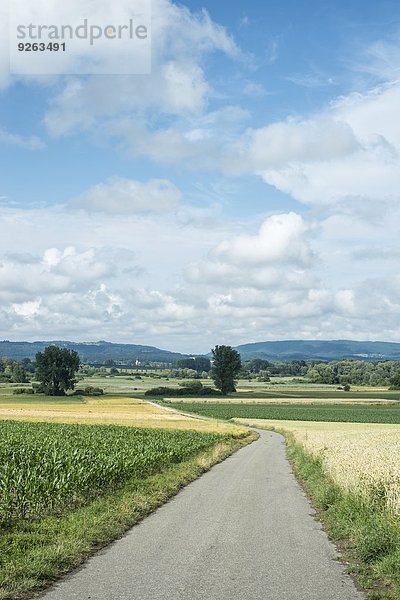 Deutschland  Baden-Württemberg  Landkreis Konstanz  Blick auf Landschaft mit Agrarstraße