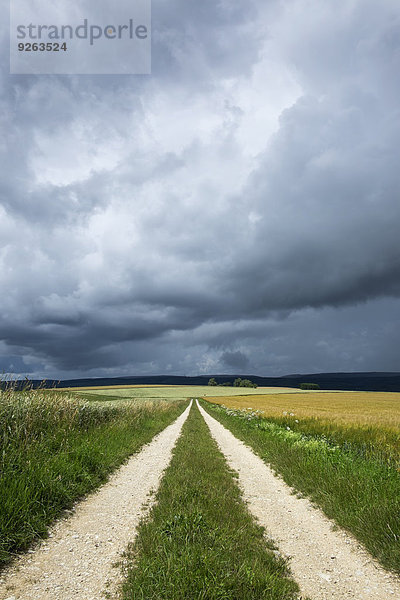 Deutschland  Landkreis Konstanz  Gewitterwolken über Felder Landschaft mit Weg im Vordergrund
