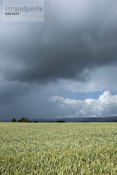 Deutschland  Landkreis Konstanz  Gewitterstimmung über dem Schwarzwald