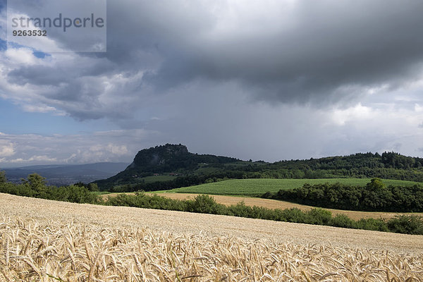 Deutschland  Baden-Württemberg  Landkreis Konstanz  Hegau  Hohentwiel  Gerstenfeld und Gewitterwolken