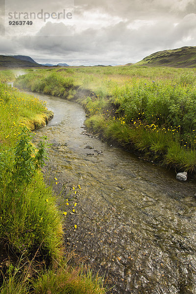 Island  Landschaft mit einem Bach  der Wasser aus heißen Quellen holt.