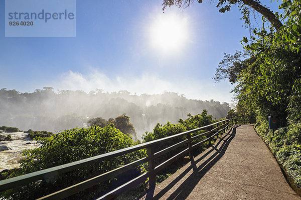 Brasilien  Parana  Spaziergang durch den Iguazu Nationalpark bei Gegenlicht