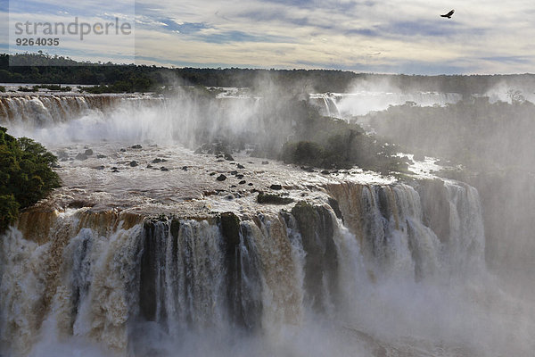 Südamerika  Brasilien  Parana  Iguazu-Nationalpark  Iguazu-Fälle