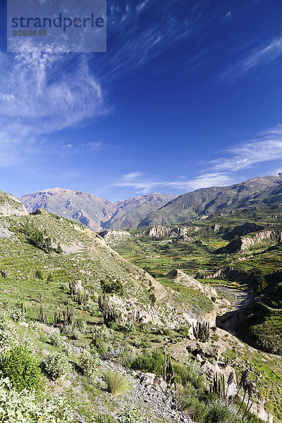 Südamerika  Peru  Blick auf den Colca Canyon