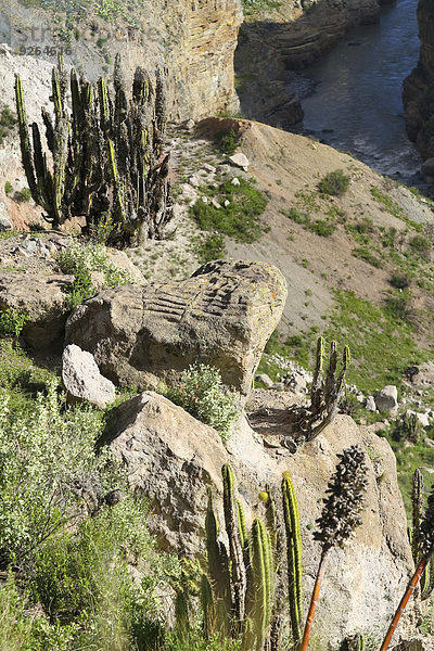 Südamerika  Peru  Anden  Modell aus Stein  das die terrassierten Felder im Colca Canyon darstellt.