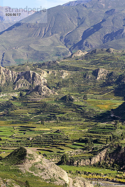 Südamerika  Peru  Blick auf den Colca Canyon