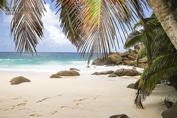 Seychellen  Insel Mahe  Anse Intendance  Strand