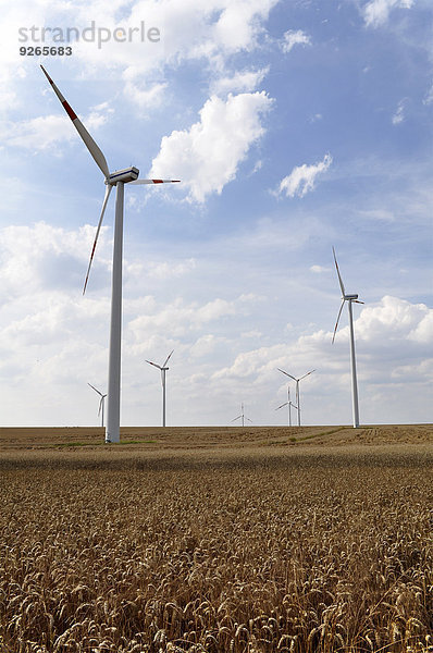 Deutschland  Sachsen  Windenergieanlagen im Weizenfeld