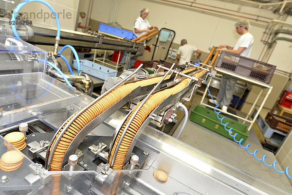 Deutschland  Sachsen-Anhalt  Arbeiter kontrollieren Kekse in der Produktionslinie einer Backfabrik