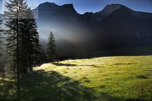 Österreich  Tirol  Hinterriss  Ahornboden am Morgen