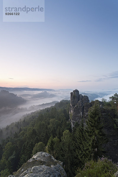 Deutschland  Sachsen  Morgennebel im Elbsandsteingebirge