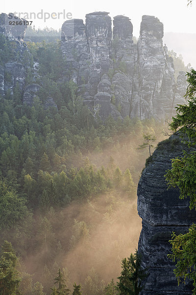 Deutschland  Sachsen  Blick auf Gansfels am Elbsandsteingebirge im Morgennebel