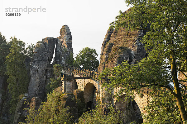 Deutschland  Sachsen  Elbsandsteingebirge  Blick zur Basteibrücke
