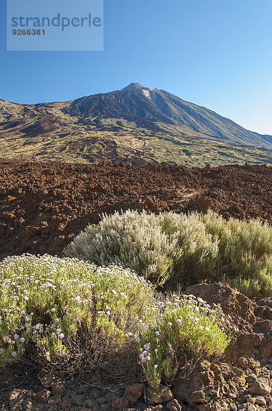 Spanien  Kanarische Inseln  Teneriffa  Teide Nationalpark  Blick auf den Vulkan Teide