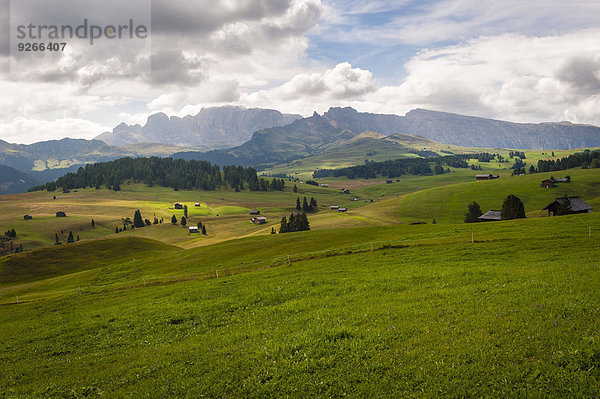 Italien  Südtirol  Dolomiten  Seiser Alm  Hochalm