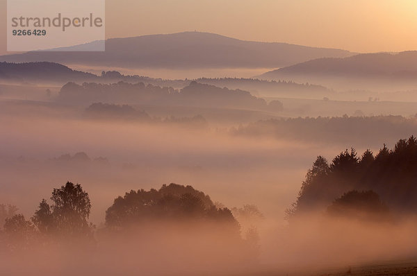 Deutschland  Sachsen  Sächsische Schweiz  Morgenstimmung mit Nebel bei Sonnenaufgang