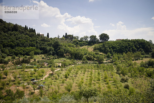 Italien  Toskana  Chianti  Blick auf die toskanische Landschaft