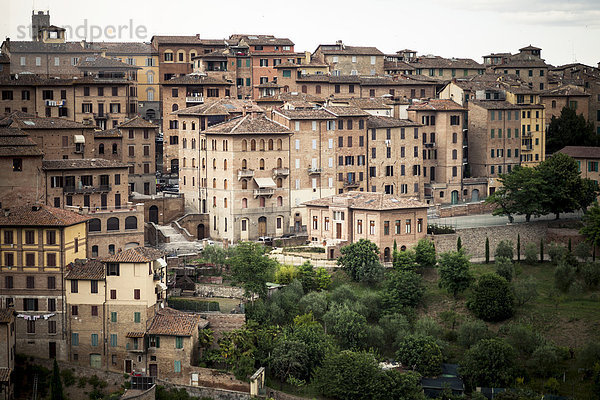 Italien  Toskana  Siena  Blick auf die Stadt