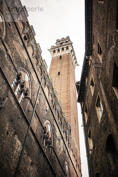 Italien  Toskana  Siena  Turm des Palazzo Pubblico  Blick von unten