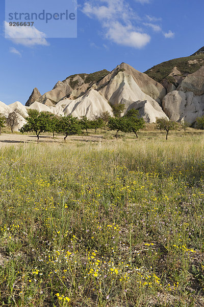 Türkei  Kappadokien  Goereme  Pasabag  Feenschornsteine im Goereme Nationalpark