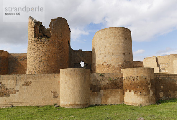 Türkei  Ostanatolien  Provinz Kars  Stadtmauer von Ani  ehemalige Hauptstadt Armeniens