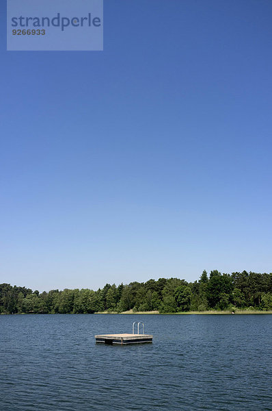 Deutschland  Brandenburg  Ponton mit kleiner Leiter im See