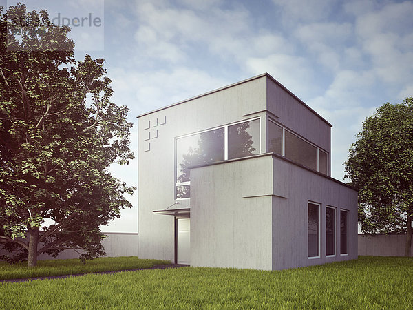 Blick auf modernes Einfamilienhaus  3D-Rendering