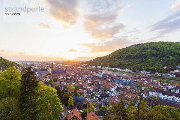 Deutschland  Baden-Württemberg  Heidelberg  Blick auf Altstadt und Alte Brücke gegen die Abendsonne