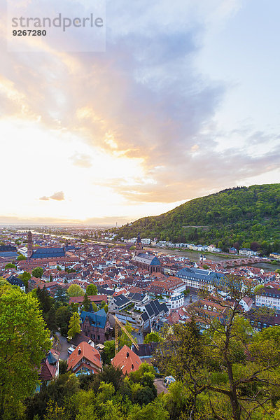 Deutschland  Baden-Württemberg  Heidelberg  Blick auf Altstadt und Alte Brücke gegen die Abendsonne