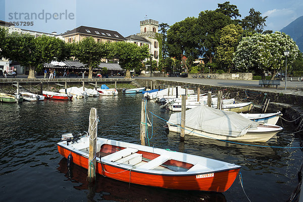 Schweiz  Tessin  Ascona  Lago Maggiore  Hafen mit Motorbooten