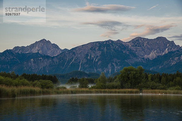 Deutschland  Bayern  Füssen  Blick auf den Hopfensee mit Alpen im Hintergrund