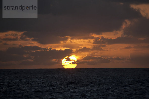 Dominikanische Republik  Karibisches Meer  Silverbanks  Sonnenuntergang