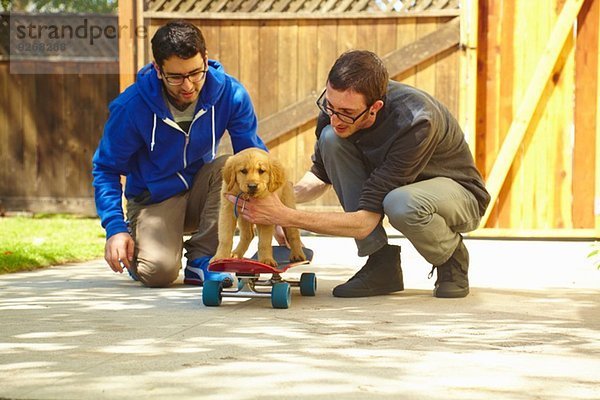 Zwei junge Männer helfen Labrador-Welpen auf dem Skateboard
