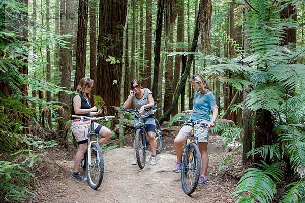 Drei erwachsene Mountainbikerinnen mit Smartphones im Wald