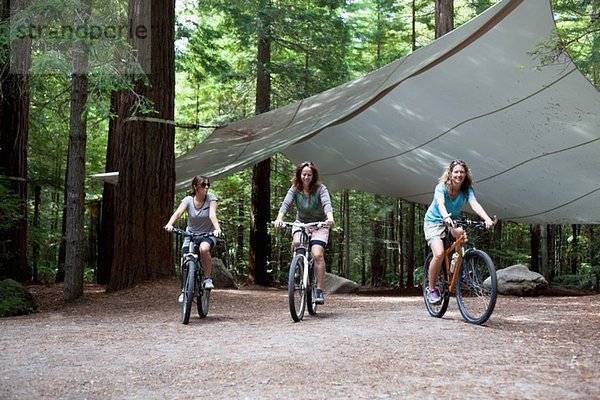 Drei Mountainbikerinnen radeln durch den Wald