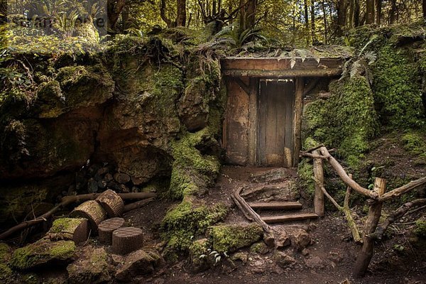 Eingang zum geheimnisvollen versteckten Holzgebäude im Wald