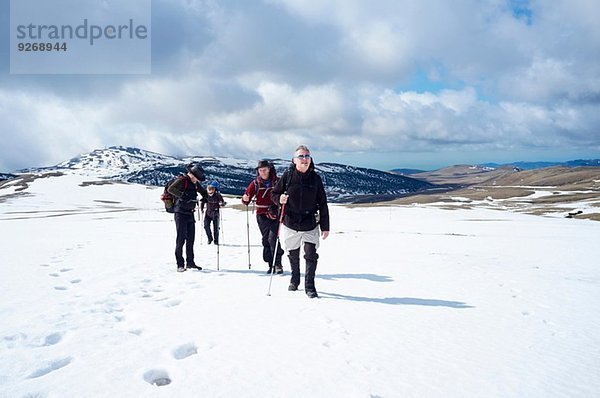 Vier Männer beim Wandern im Schnee  Bucegi-Gebirge  Siebenbürgen  Rumänien
