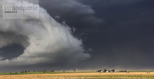 Eine dramatische Böenfront fegt über die Ernten dieser Farm  die Staub und starke Winde aufwirbelt  Lexington  Nebraska  USA