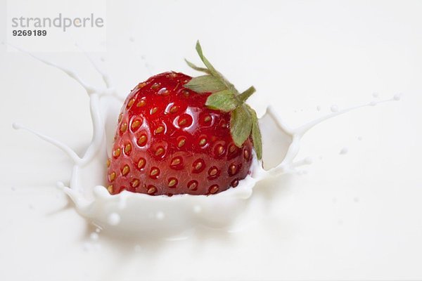 Frische Erdbeeren spritzen auf die Milchoberfläche