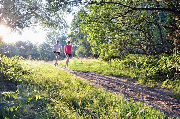 Zwei junge Läuferinnen  die morgens den Waldweg entlang laufen.