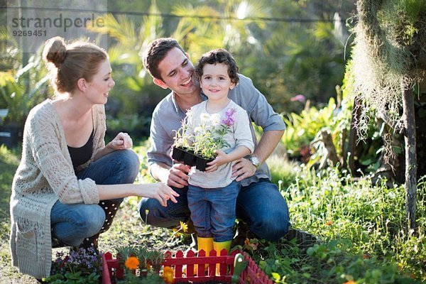 Paar und Sohn pflanzen Miniaturgarten auf dem Grundstück