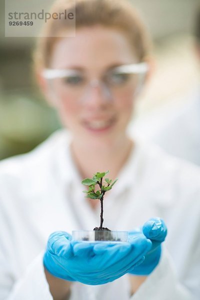 Porträt einer Wissenschaftlerin  die eine Pflanzenprobe im Polytunnel hochhält.