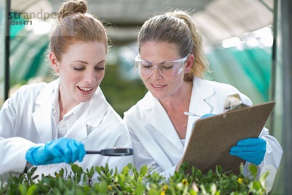 Zwei Wissenschaftlerinnen überwachen Pflanzenproben und erfassen Daten