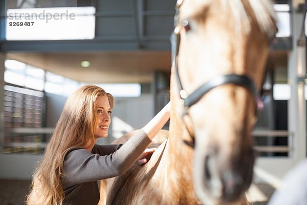 Junges weibliches Stallhand-Pflegepferd Palomino