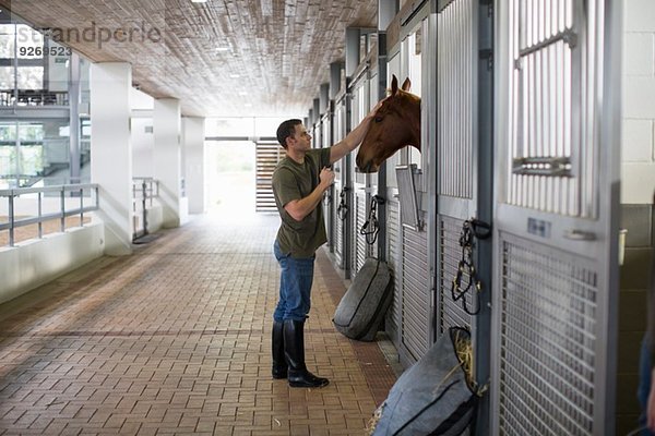 Stallhand-Streichelpferd im Stall